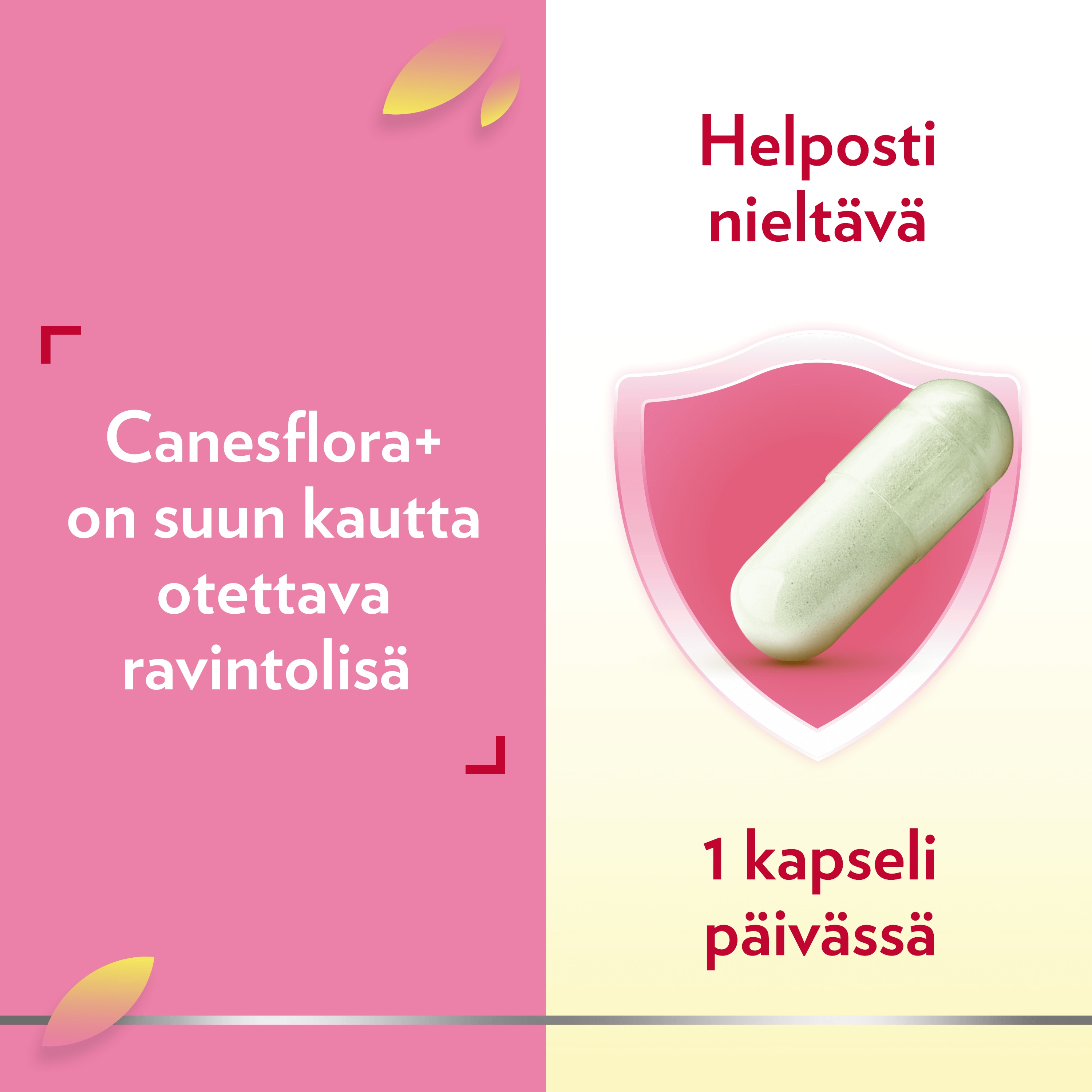 Canesflora+